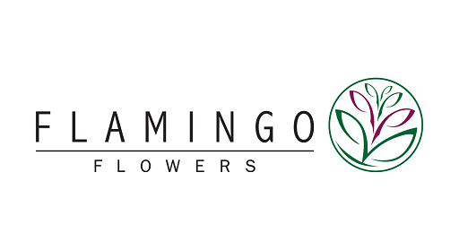 Flamingo Flowers